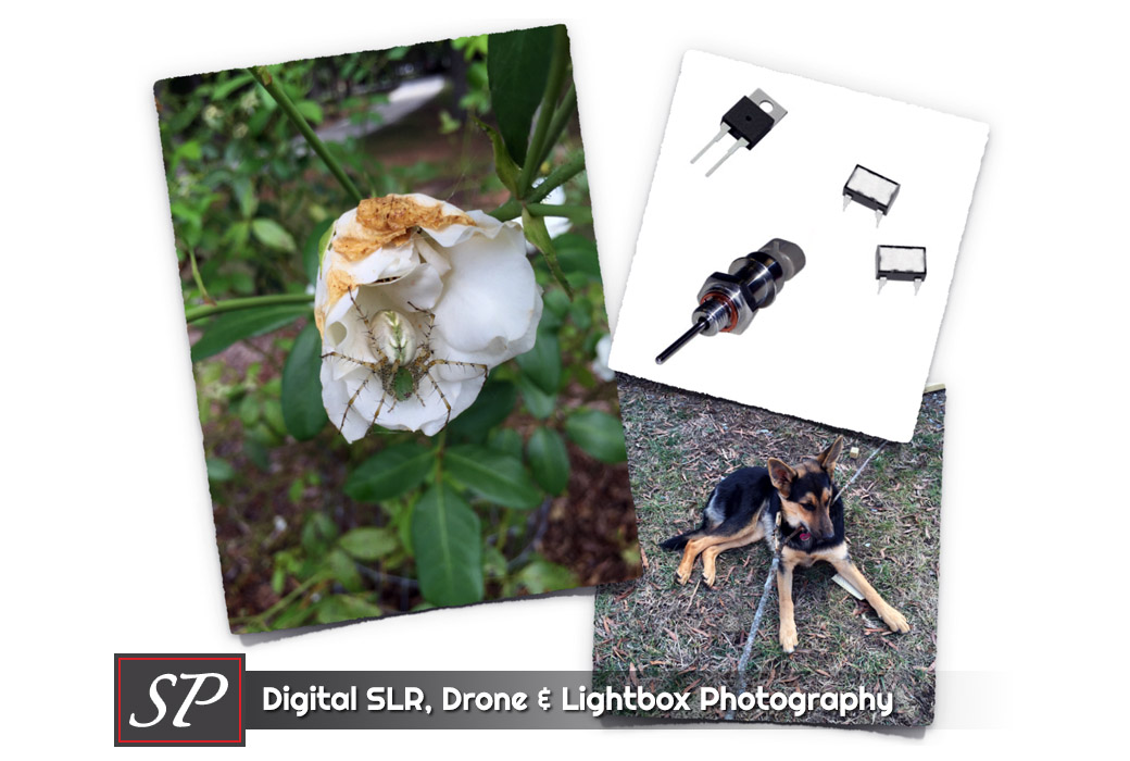 Digital SLR and Lightbox Photography